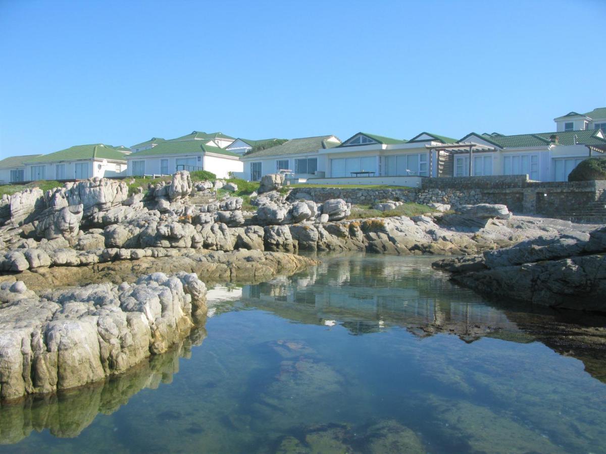 Beachfront House - Hermanus Whale View Villa Exteriör bild