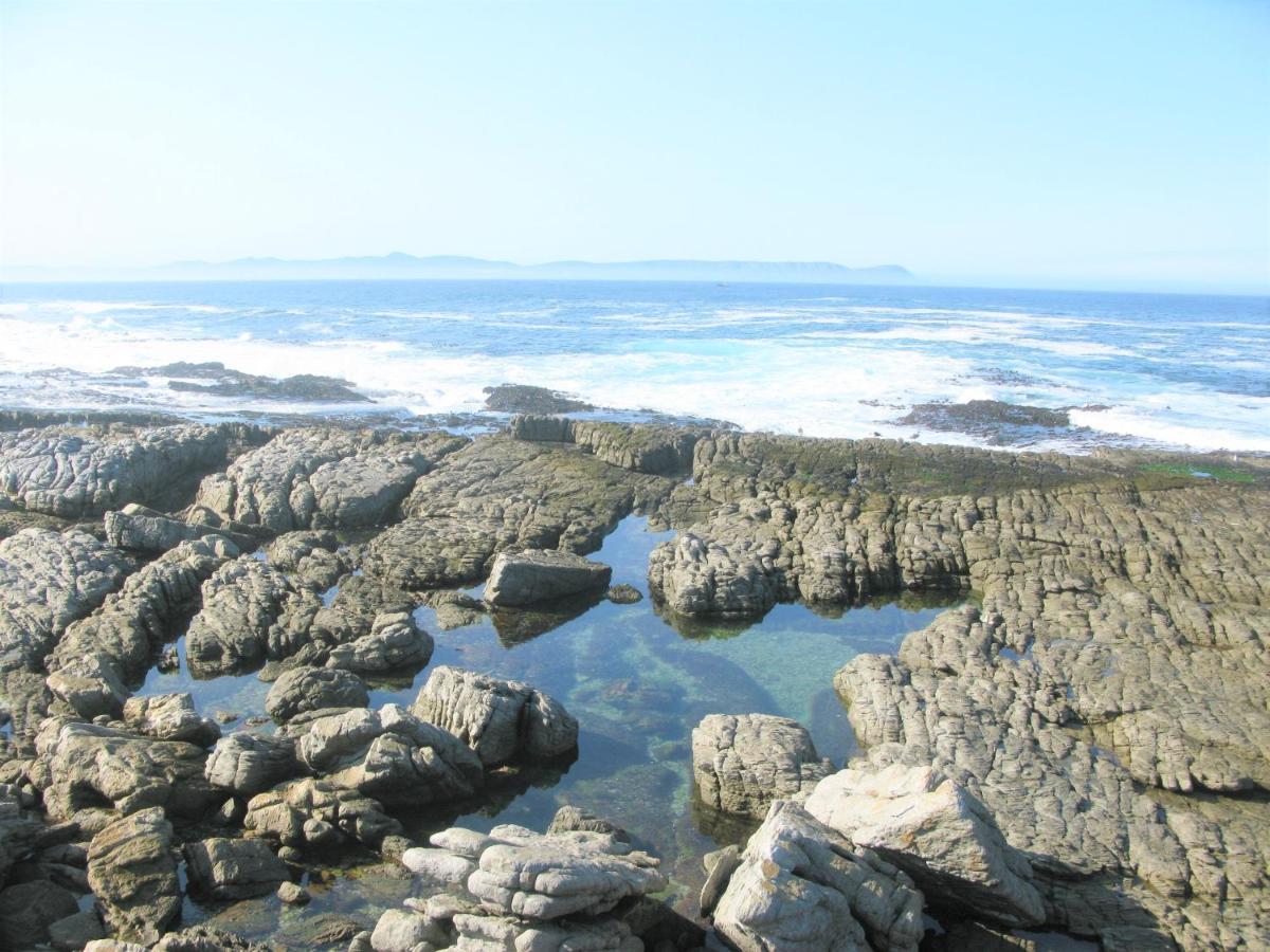 Beachfront House - Hermanus Whale View Villa Exteriör bild