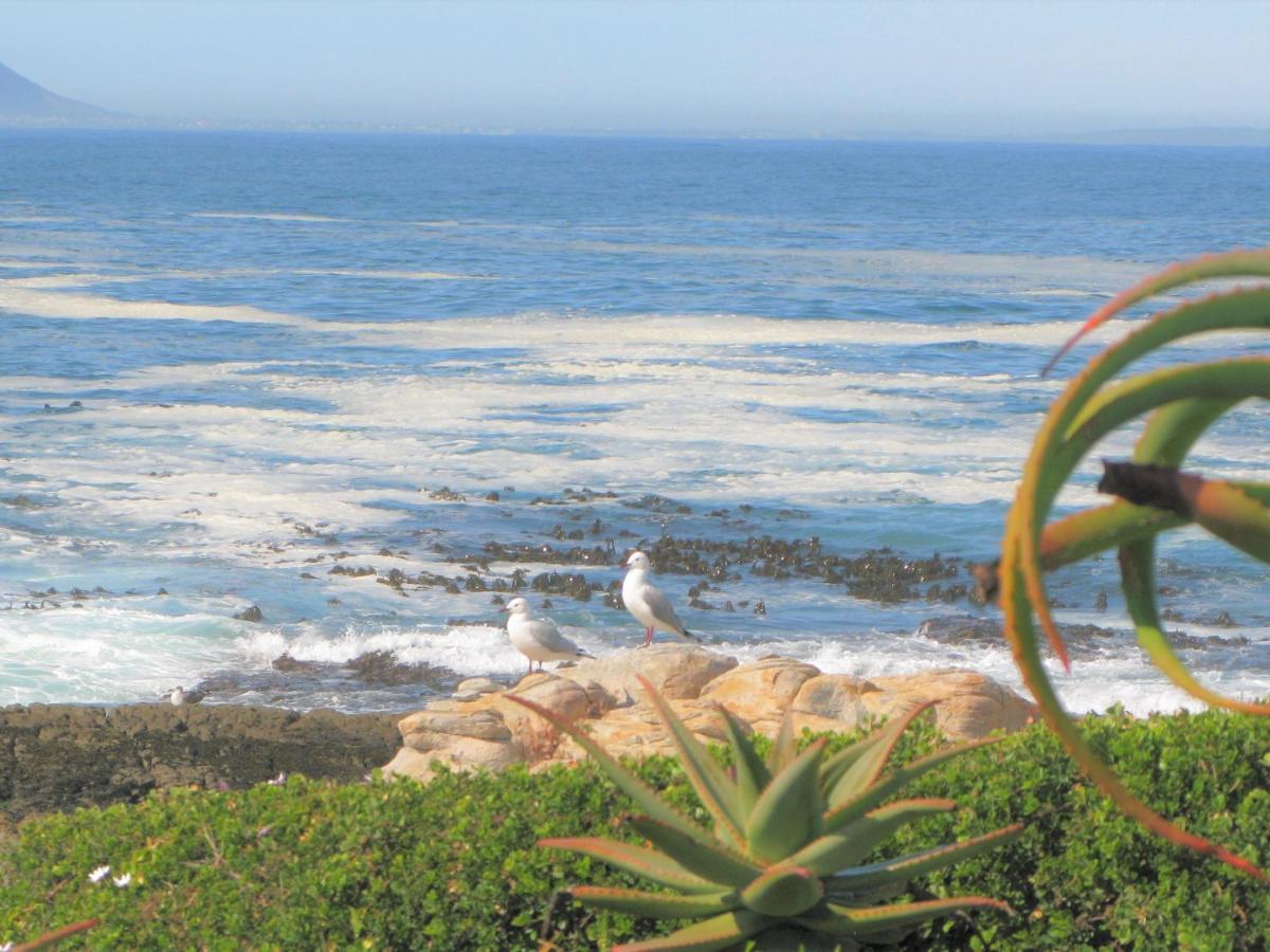 Beachfront House - Hermanus Whale View Villa Exteriör bild