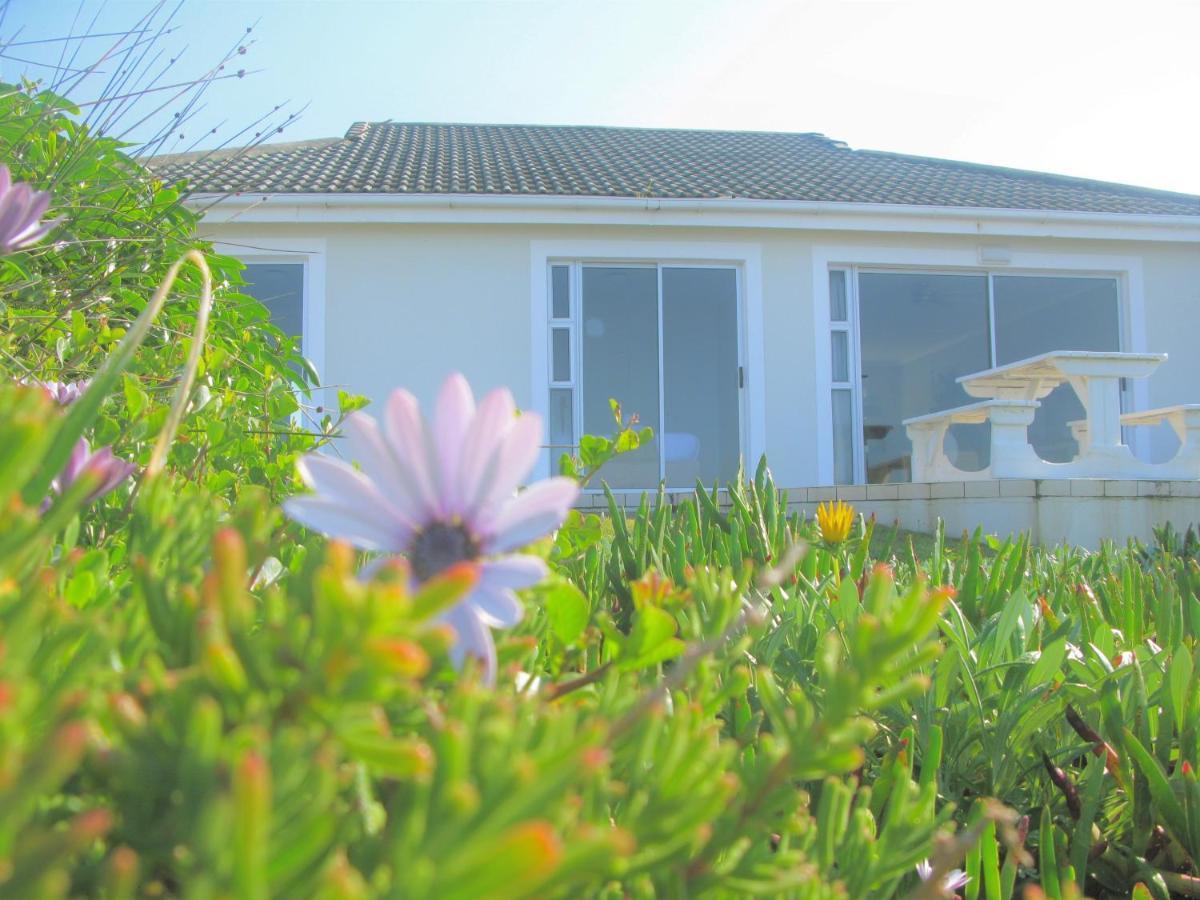 Beachfront House - Hermanus Whale View Villa Exteriör bild