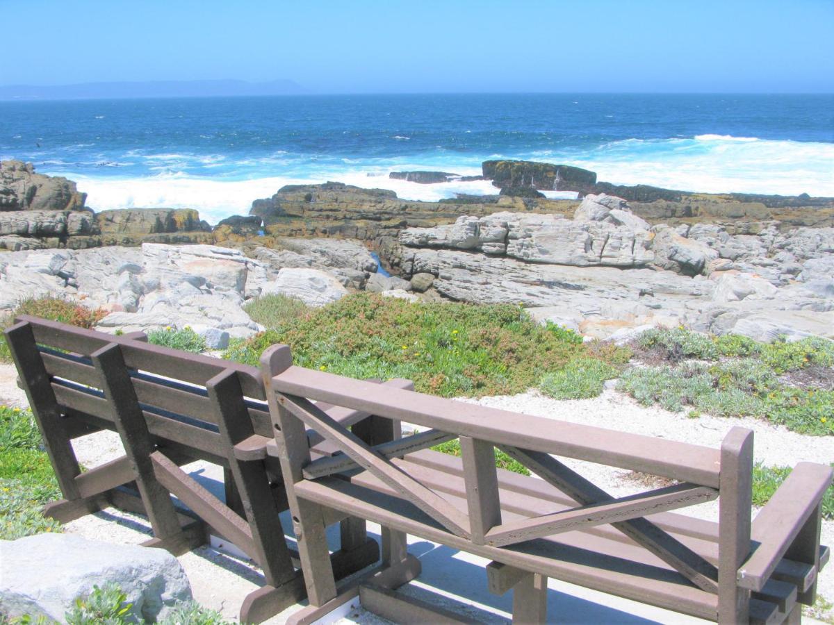 Beachfront House - Hermanus Whale View Villa Exteriör bild